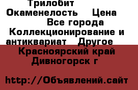 Трилобит Asaphus. Окаменелость. › Цена ­ 300 - Все города Коллекционирование и антиквариат » Другое   . Красноярский край,Дивногорск г.